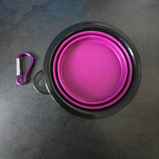 Folding silicone pet feeding bowl with clip for travel