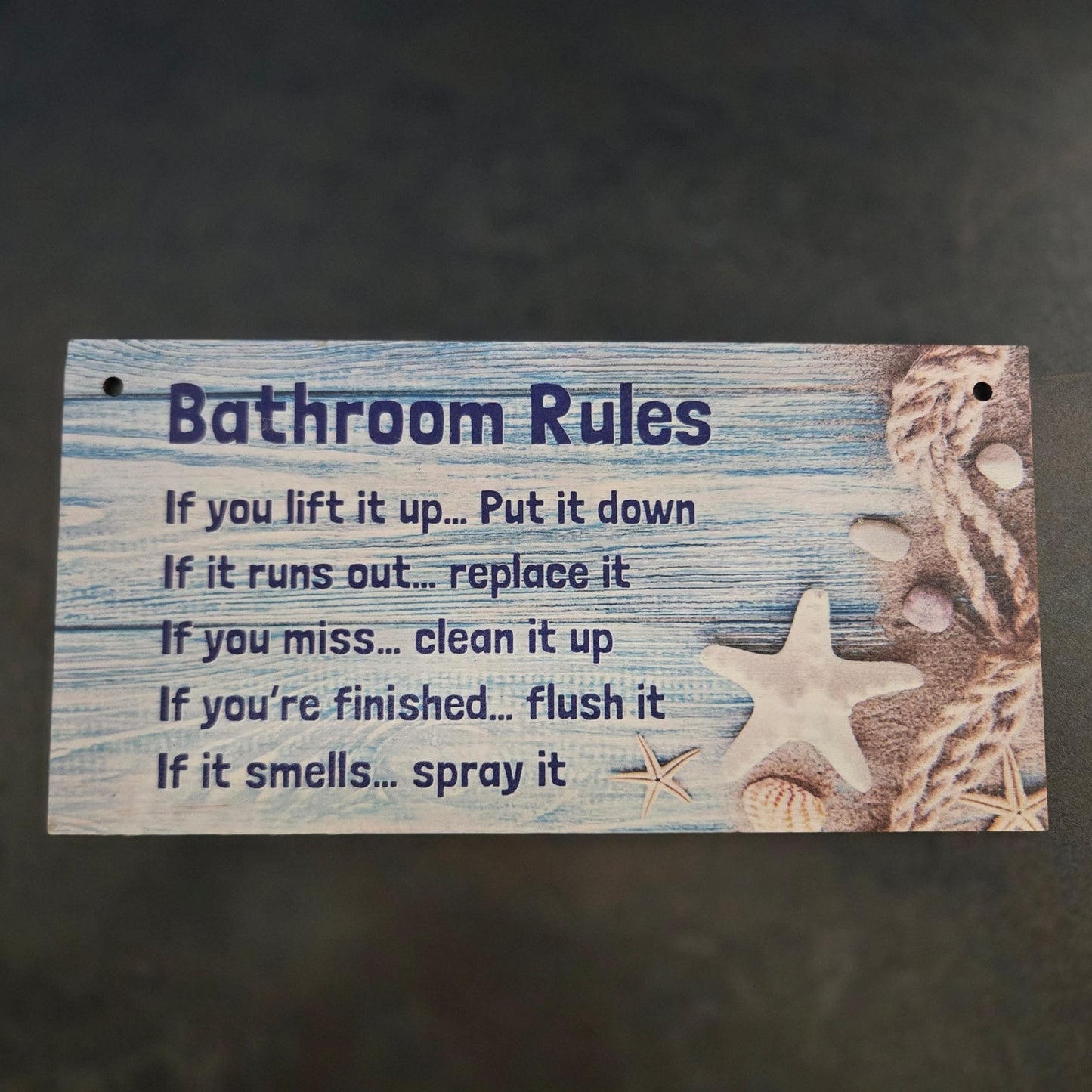 Bathroom Rules Wooden Plaque
