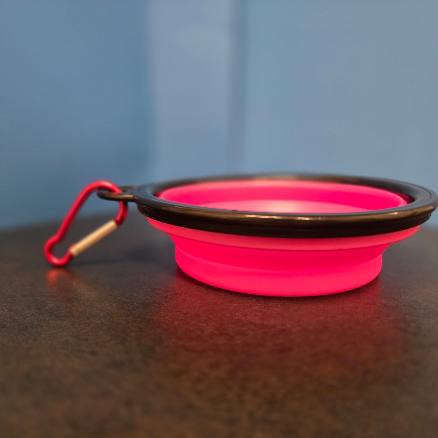 Folding silicone pet feeding bowl with clip for travel